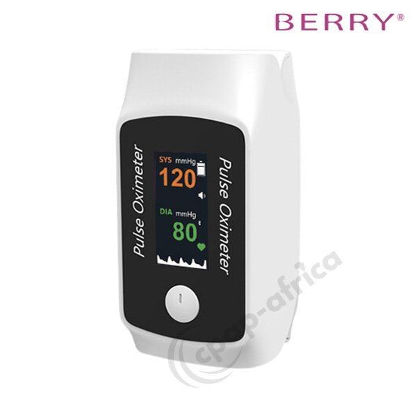 Berry BM1300