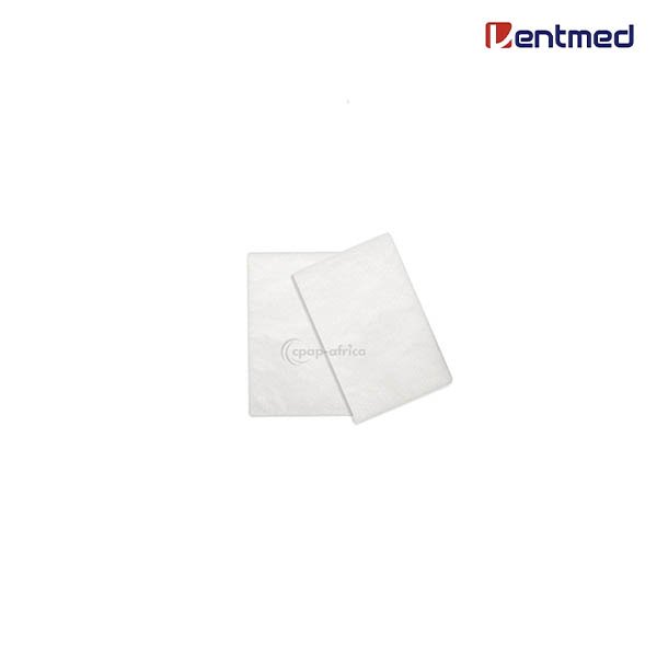 Filtre de rechange Resmed Airsence 10, AirCurve 10, S9 et Lumis