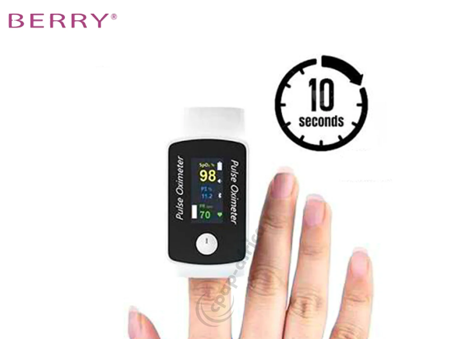Berry BM1300