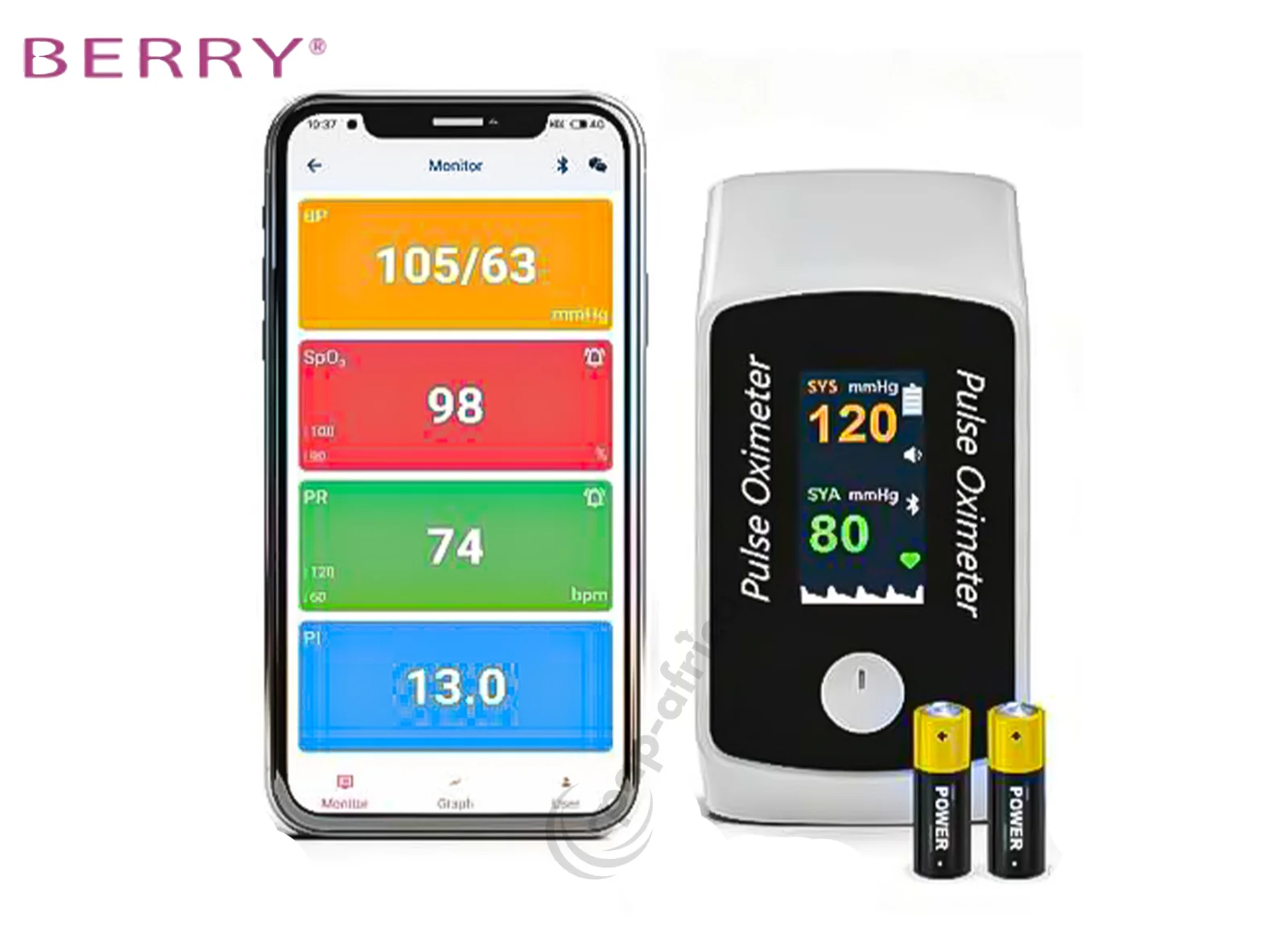 Berry BM1300