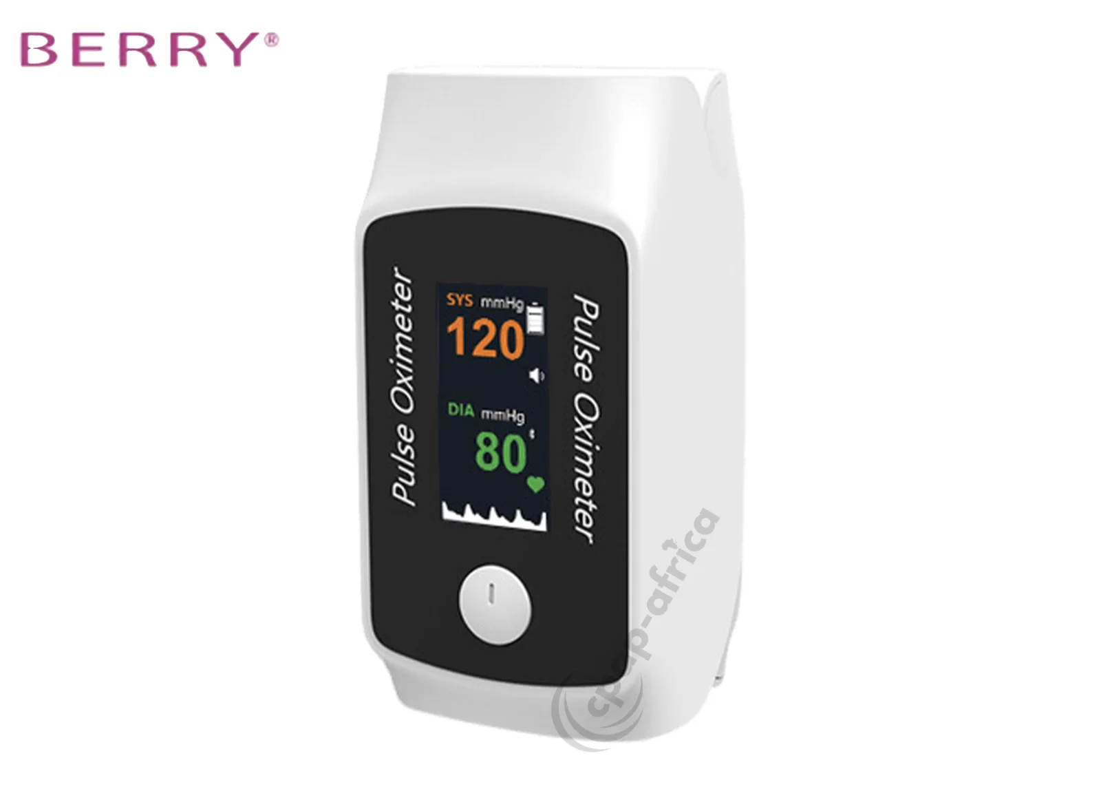 Berry BM1300