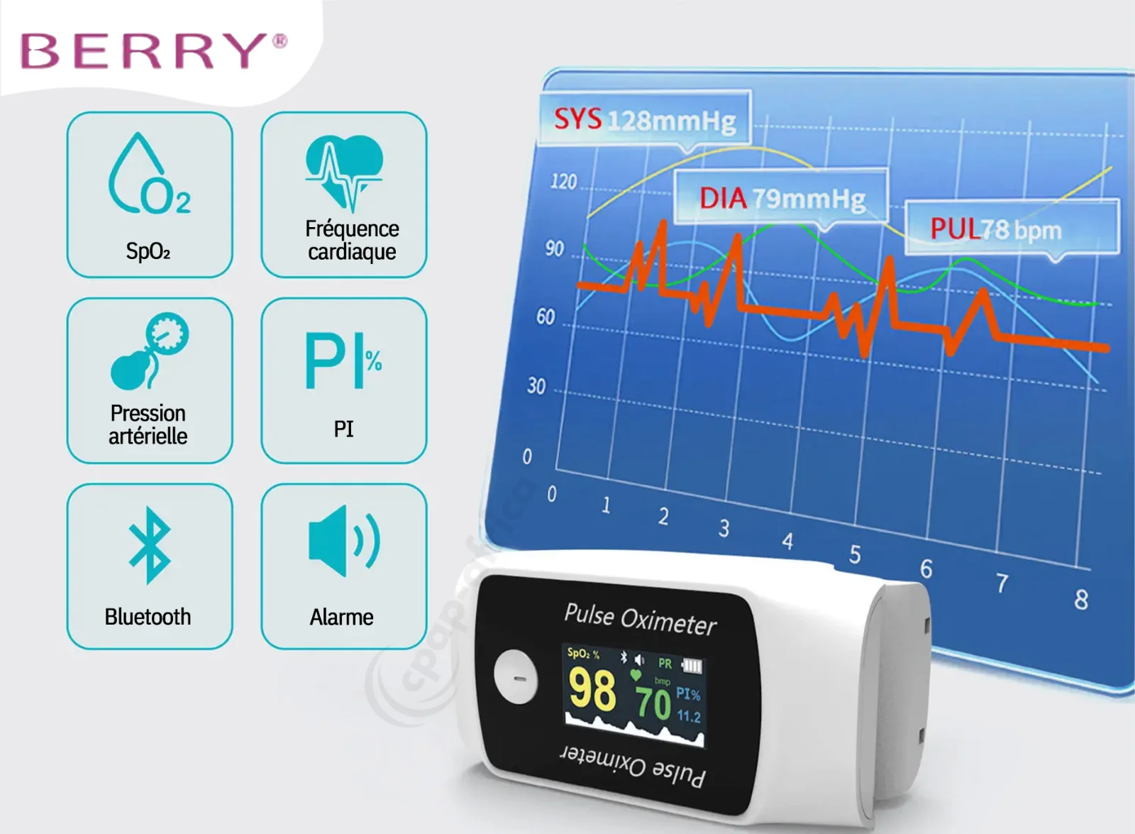 Berry BM1300