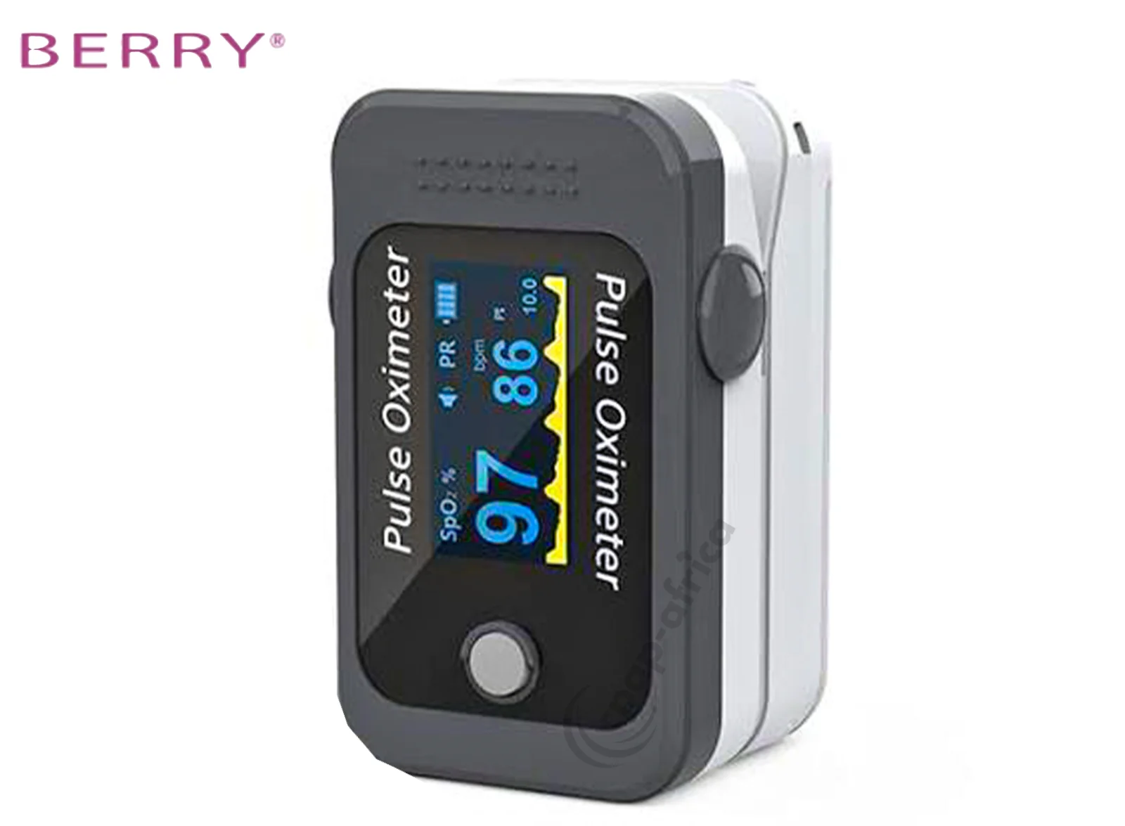 Berry BM1000C