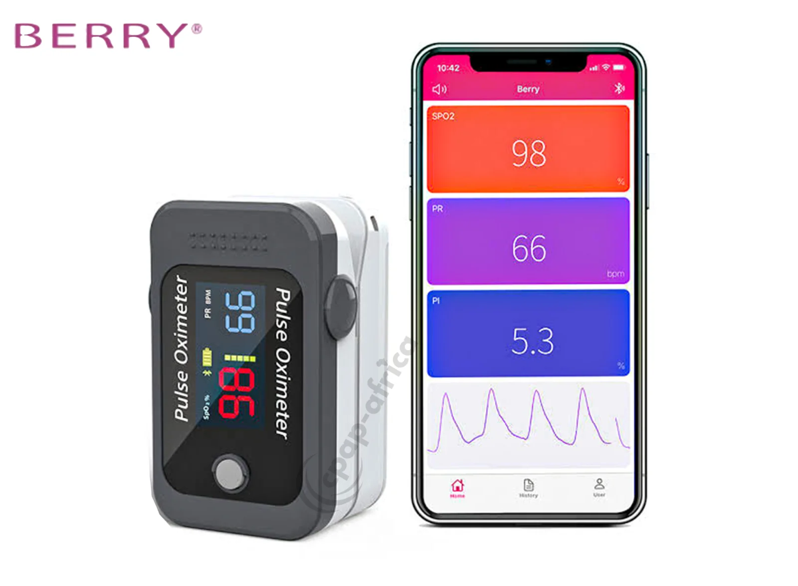 Berry BM1000C