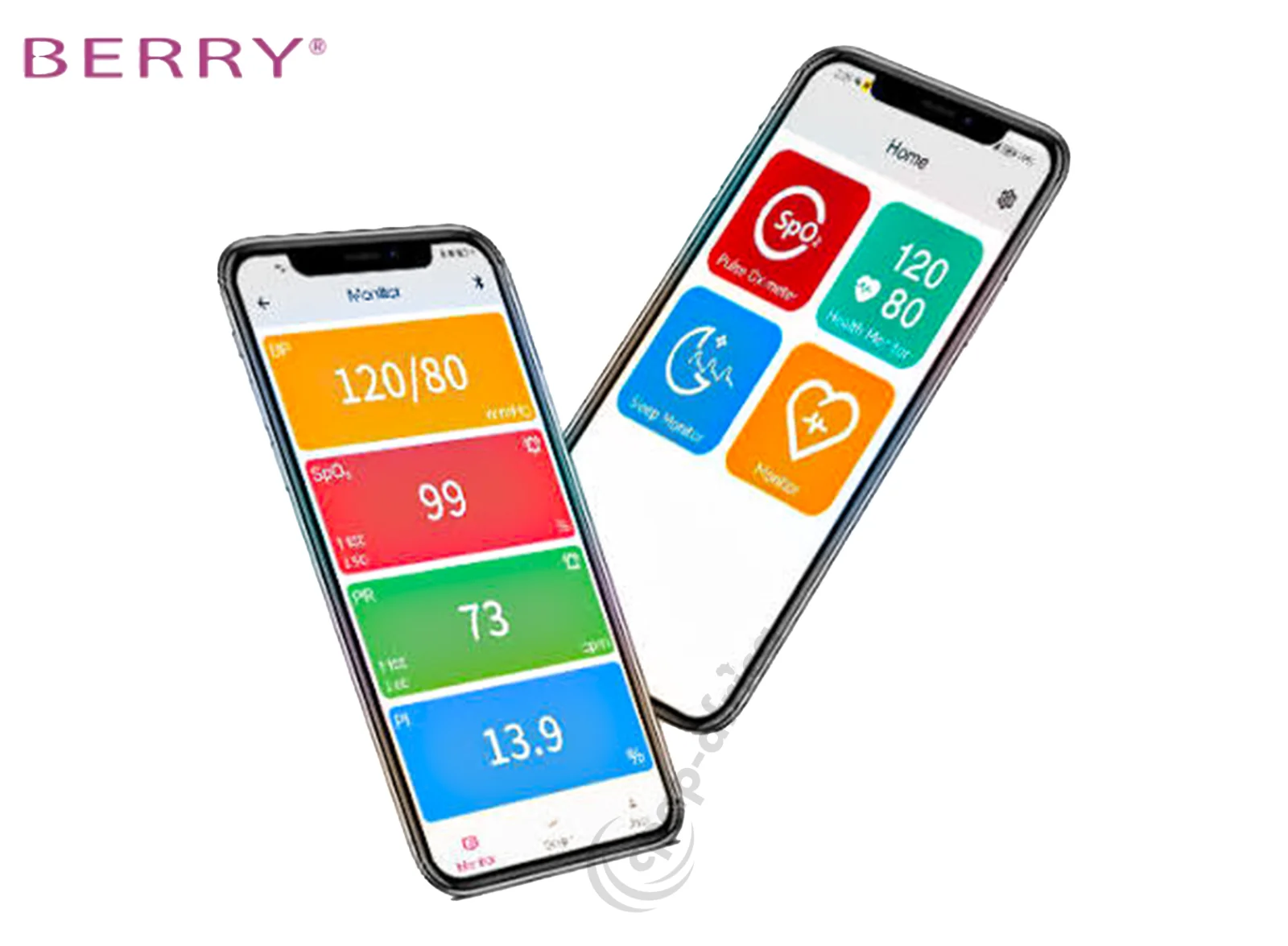 Berry BM1300